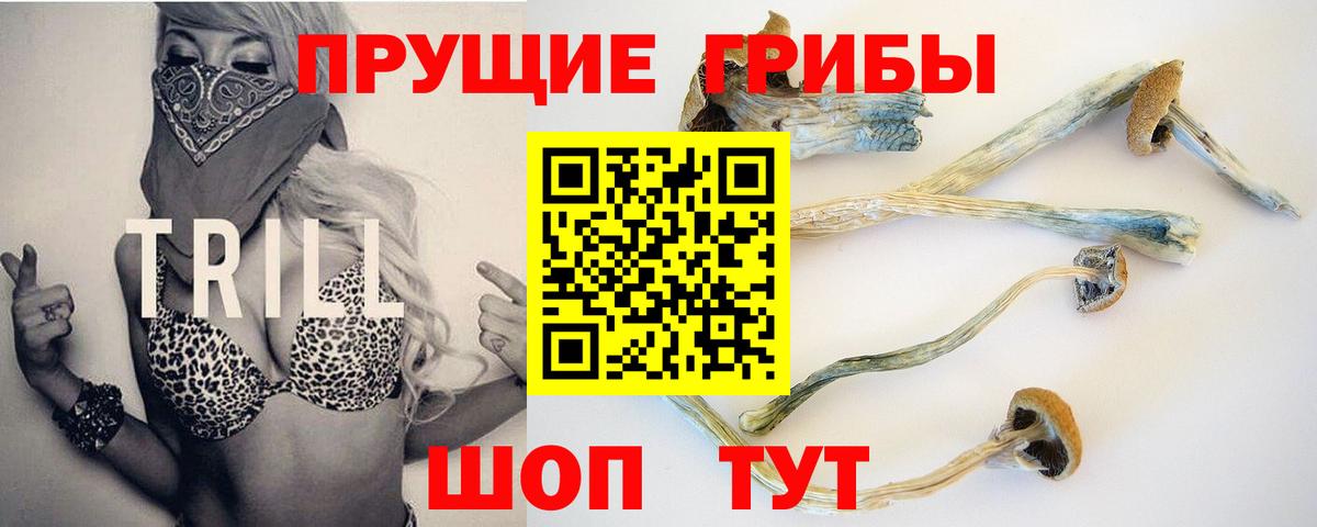 Псилоцибиновые грибы ЛСД  Вход с VPN  Похвистнево 